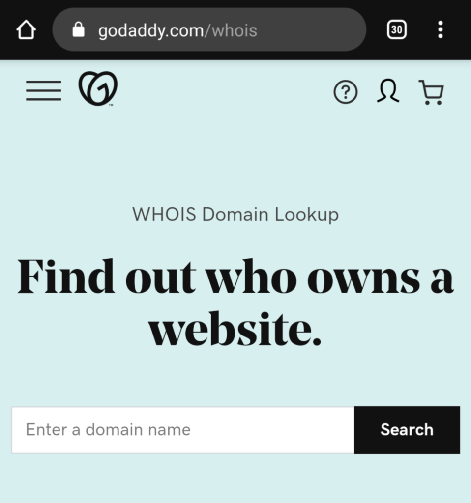 GoDaddy WHOIS